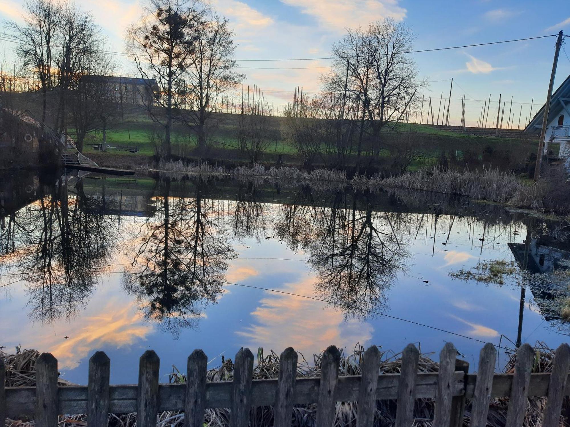 Am Dorfweiher تيتنانغ المظهر الخارجي الصورة